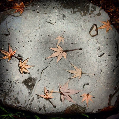 STEPPING STONE by Allyson Seconds